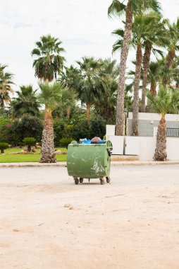 Bir Büyük Çöp Kutusu ya da Çöp Kutusu. Arka planda Palmiye.