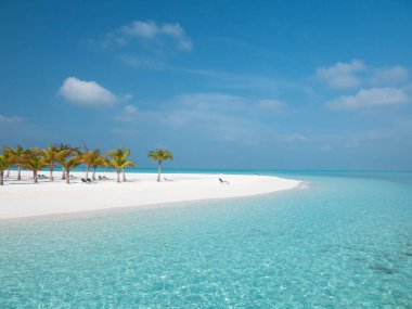 Meeru Adası 'ndaki Maldivler' deki Idyllic Plajı Palmiye ağaçları, Bulutlu Gökyüzü ve Hint Okyanusu.