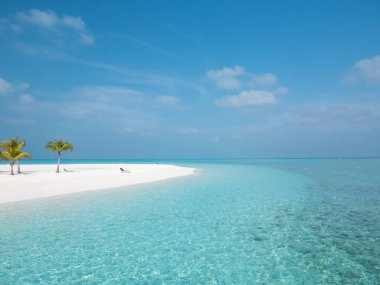 Meeru Adası 'ndaki Maldivler' deki Idyllic Plajı Palmiye ağaçları, Bulutlu Gökyüzü ve Hint Okyanusu.