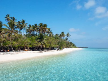 Meeru Adası 'ndaki Maldivler' de Palm Trees, Bulutlu Gökyüzü ve Hint Okyanusu 'nun olduğu plaj..