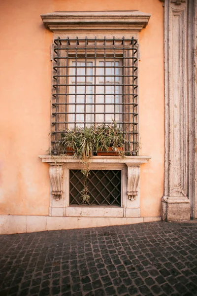 Ventana Antigua Roma Decorada Con Plantas Macetas Italia — Foto de Stock