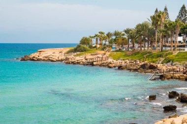 Akdeniz ve Palm Tree ile Kıbrıs Sahil Hattı. Bulutlu Gökyüzü.