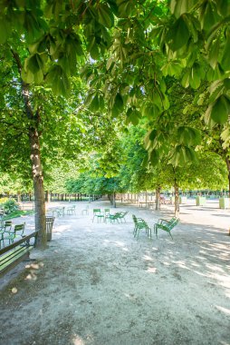 Paris 'te güneşli bir bahar gününde yeşil metal sandalyeli Tuileries Garden. Fransa.