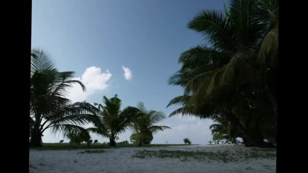 Tidsförskjutning Maldiverna Island Med Palmer Och Vit Sand Molnigt Himmel — Stockvideo