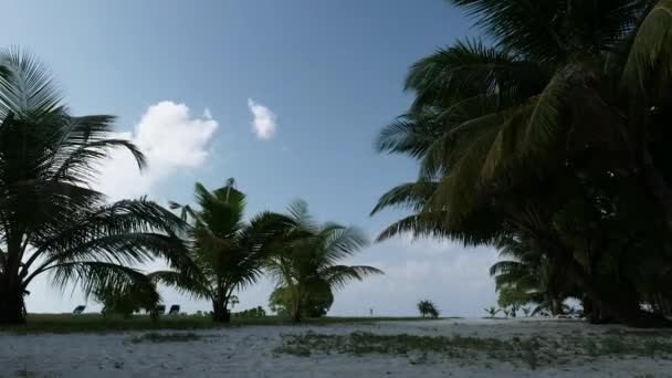 Tidsförskjutning Maldiverna Island Med Palmer Och Vit Sand Molnigt Himmel — Stockvideo