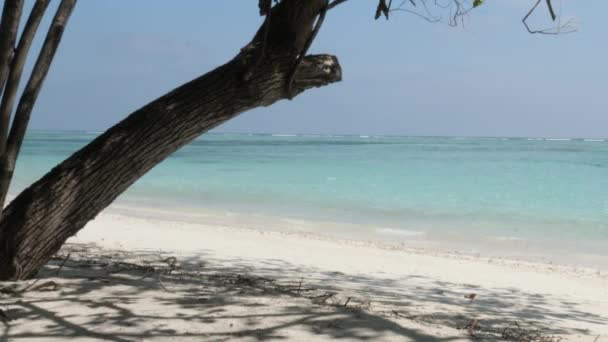 Malediven Insel Mit Strand Und Weißem Sand Indischer Ozean Und — Stockvideo