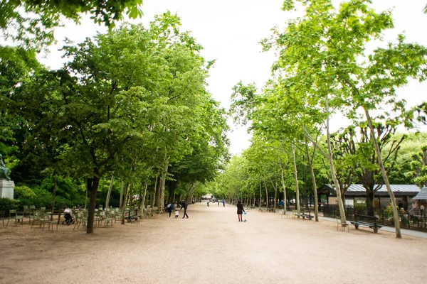 Στο Παρίσι Γαλλία Μαΐου 2019 Alley Trees Luxembourg Palace Gardens — Φωτογραφία Αρχείου