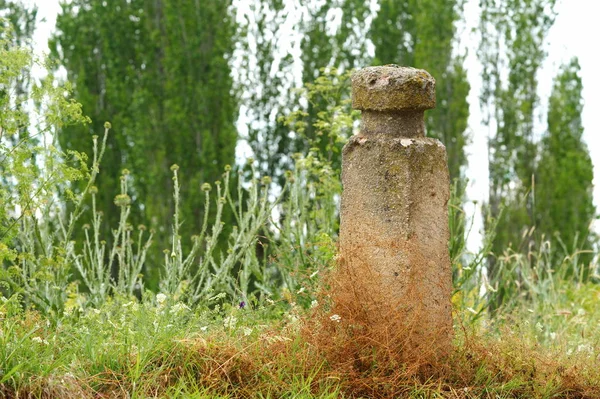 Lápida frígida — Foto de Stock