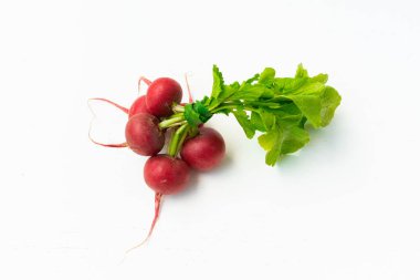 kırmızı fındık turpu