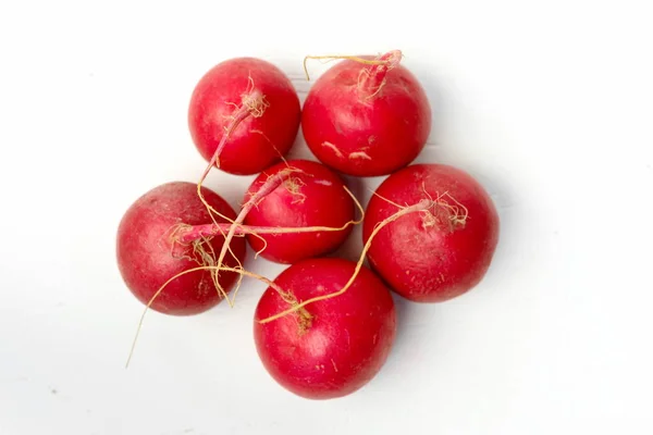 Nueces rojas rábano —  Fotos de Stock