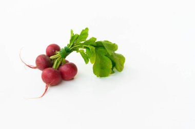 kırmızı fındık turpu