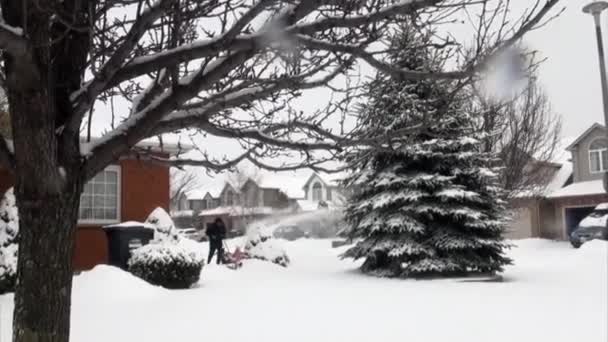 Nach dem großen Schneesturm — Stockvideo