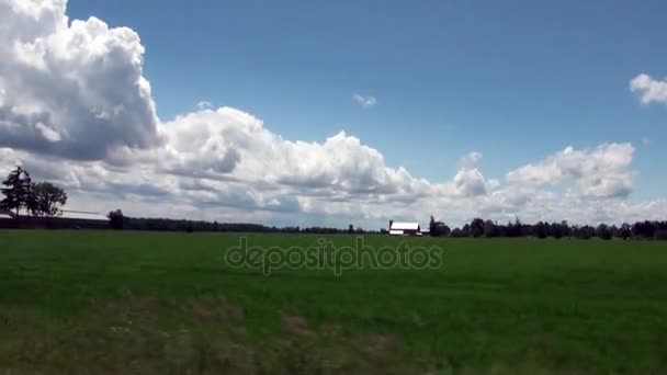 Prairies vertes juteuses, ciel bleu vif avec nuages blancs et bâtiments agricoles 