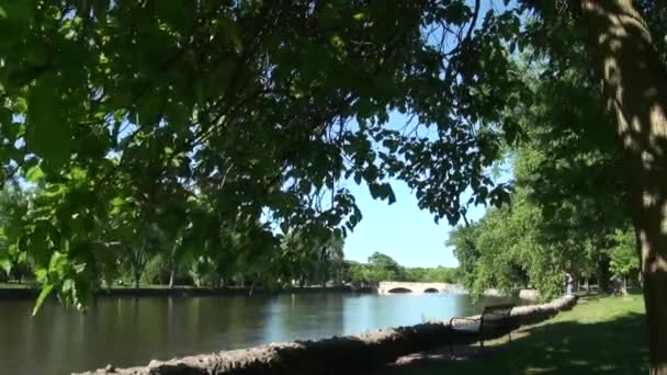 In de ochtend aan een voorjaar-rivier — Stockvideo