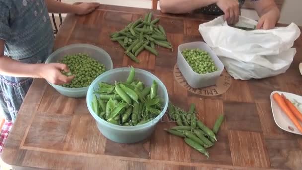 Groene erwt in een keuken — Stockvideo