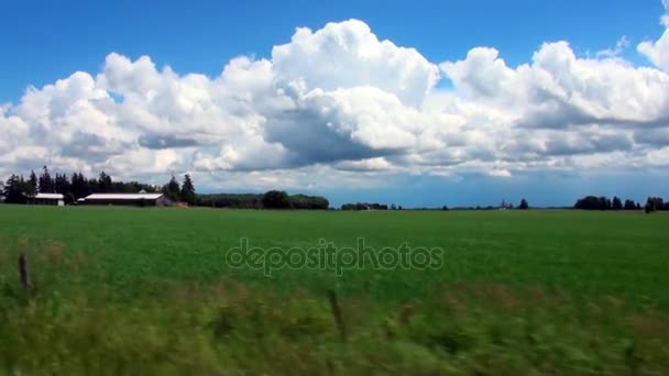 Bauernhöfe - grüne Wiesen, weiße Wolken, blauer Himmel. — Stockvideo