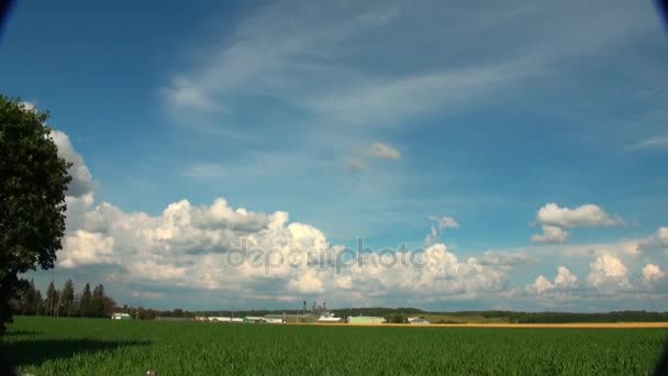 Wolken über einem Bauernhof mit Maisfeld — Stockvideo