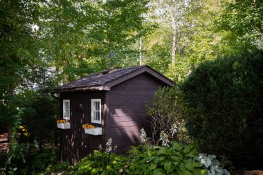 Cüceler ormanda evi