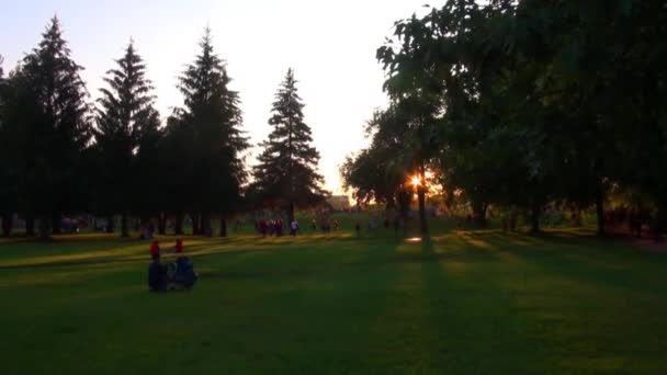 Noche en el parque de la ciudad — Vídeo de stock