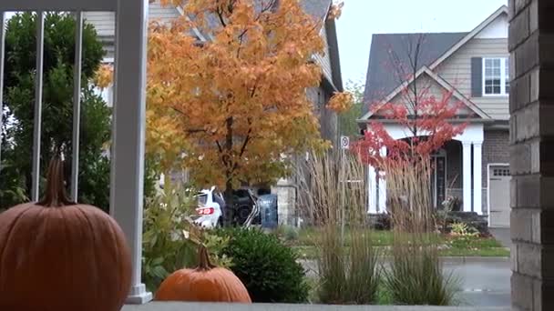 Осень, скоро Хэллоуин. — стоковое видео