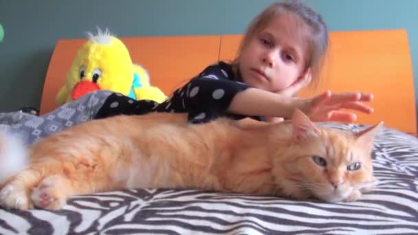 Dziewczyna Leży Kotem Łóżku Obrysy — Wideo stockowe