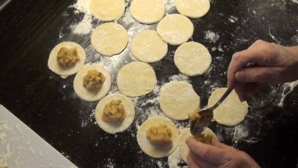 Woman Arranges Stuffing Dumplings Mugs Cut Dough Sprinkled Flour — Stock Video