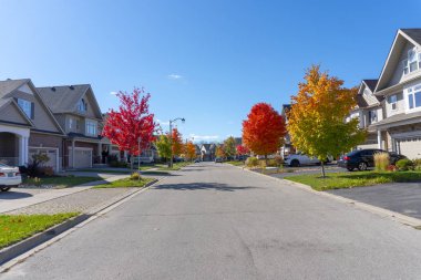 Bir kentsel uyuma alanının parçası