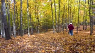 An elderly woman in a straw hat is walking her beloved dog in the forest