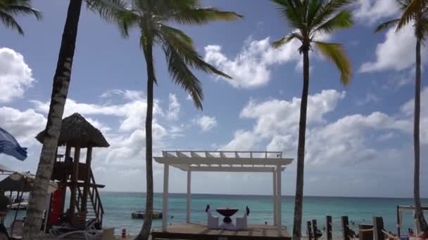 Served Table Prepared Newlyweds Wooden Deck Palm Trees Sunny Sky — 图库视频影像