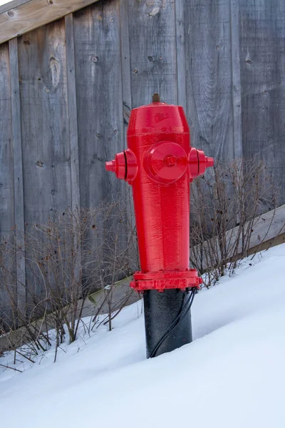 Красный Пожарный Гидрант Фоне Белого Снега — стоковое фото