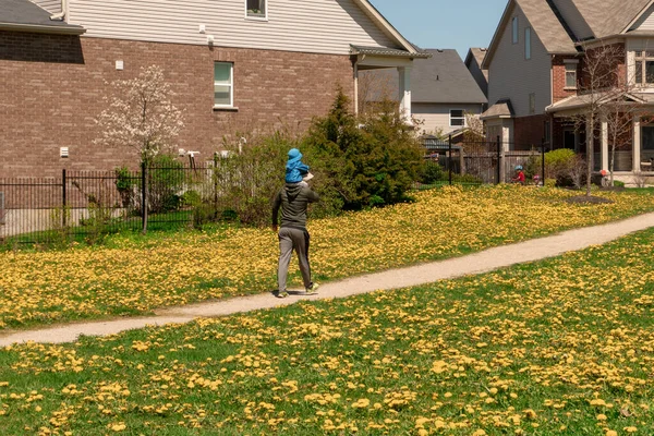 Apám Egy Gyerekkel Vállán Ösvényen Sétál Pitypangok Sárga Virágai Között — Stock Fotó