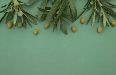 Yeşil zeytinli ve yeşil yapraklı yassı zeytinler. Sağlıklı yiyecekler. Akdeniz diyeti. Poster, desen, yemek geçmişi. Metin veya resim için kopyalama alanı ile birlikte. Üst görünüm.