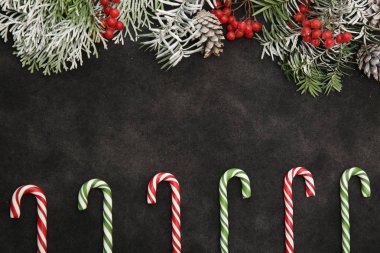 Noel arkaplanı, köknar dalları, kırmızı böğürtlen ve karamelli şeker kamışlı siyah arka plan kompozisyonu. Kopyalama alanı olan. Düz yatıyordu. Kart, arkaplan, kalıp, çerçeve.