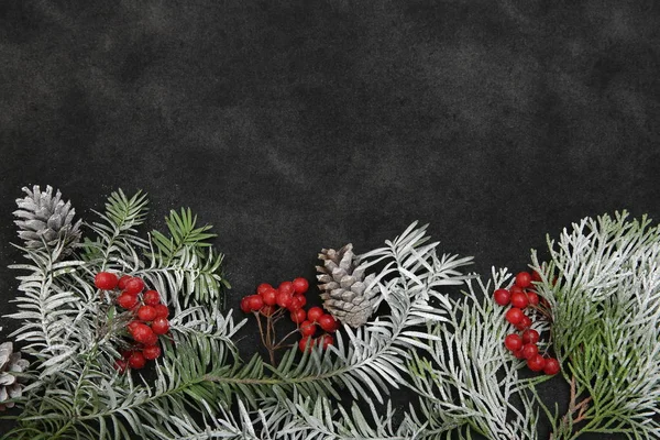 Christmas background composition. Winter ornament. Branch Spruce with snow and red berries and cones on a black background with copy space for text and image. Top view. Flat lay. Pattern, card, banner.