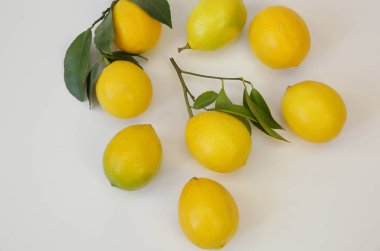 Beyaz arka planda yaprakları olan sulu limon dalıyla. Sağlıklı bir diyet için organik narenciye. Tropik meyve. Kalıp, arka plan. Üst Manzara. Düz yatıyordu.