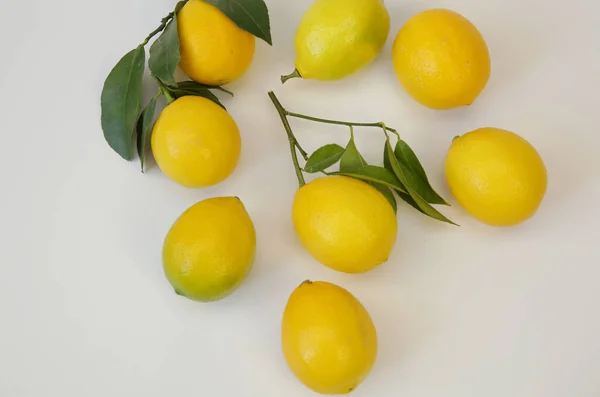 Gren Saftiga Citroner Med Blad Vit Bakgrund Ekologiska Citrusfrukter För — Stockfoto