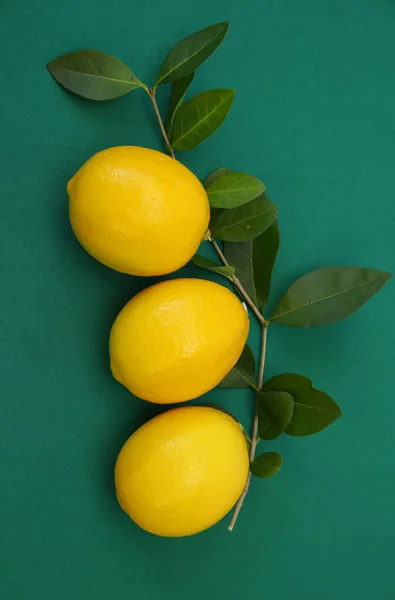 Saftiga Citroner Gren Med Blad Grön Bakgrund Ekologiska Frukter För — Stockfoto