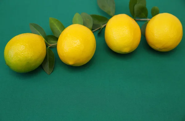 Saftiga Citroner Gren Med Blad Grön Bakgrund Ekologiska Frukter För — Stockfoto