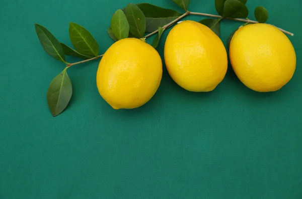 Сочные Лимоны Ветке Зелеными Листьями Зеленом Фоне Органические Фрукты Здорового — стоковое фото