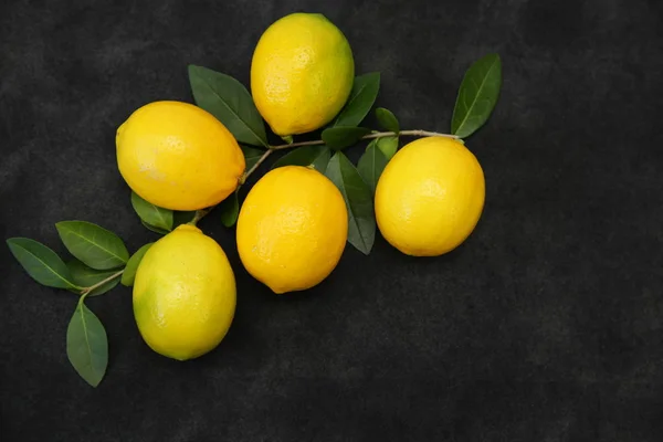 Saftiga Citroner Gren Med Gröna Blad Svart Bakgrund Ekologiska Frukter — Stockfoto