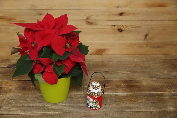 Red Beautiful Poinsettia Snowman Lantern Wooden Background Copy Space Text — ストック写真