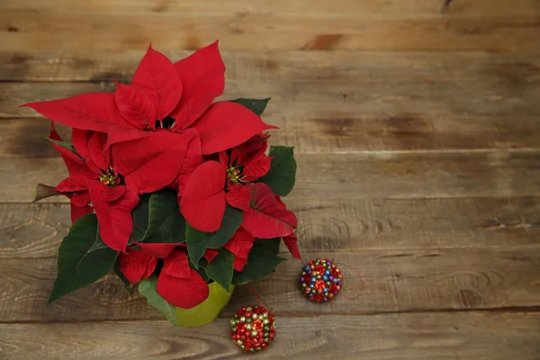 Roter Schöner Weihnachtsstern Auf Hölzernem Hintergrund Mit Kopierraum Für Text — Stockfoto