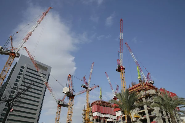 Palmiye ağaçları ve mavi gökyüzü olan sıcak bir ülkedeki gökdelen şantiyesinde birkaç turna.