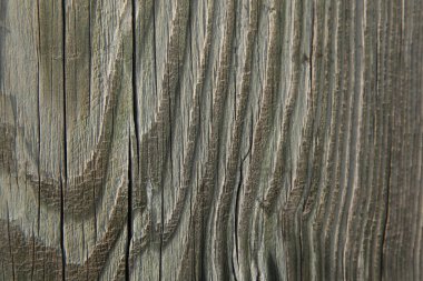 Eski doğal ahşap dokusu ve derin bir yapı yapısı var. Yıpranmış ahşap bağbozumu..