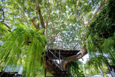 Bahçedeki çocuklar için ağaç ev. Akşamları ağaç ev.