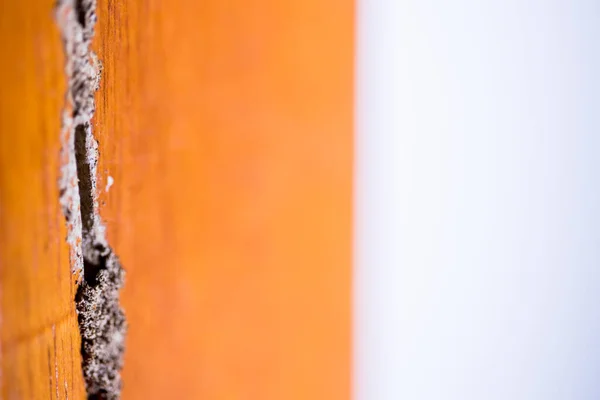 Sporen Van Termieten Eten Hout Hout Straal Van Deur Beschadigd — Stockfoto