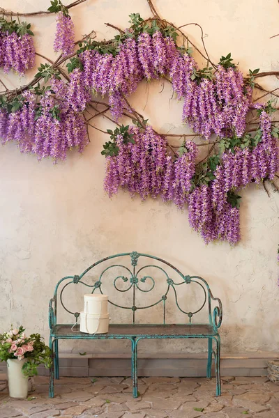 Blooming wisteria plants on a background of a house wall with a bench. Wisteria in full bloom in a peaceful corner of the garden with a bench. An ideal place for privacy and tranquility. spring time.