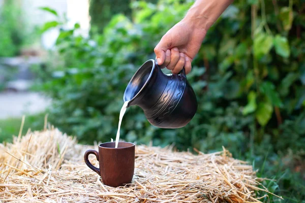 Man's hand flows milk from jug into glass. Clay jug of milk and cup on a background of green tree leaves. Natural whole milk in jug on a haystack on field. Organic milk and rustic style. Country Style