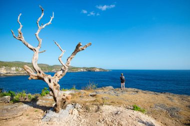 Endonezya, Nusa Penida 'da denizin arka planında tek başına Meleklerin Billabong' u.