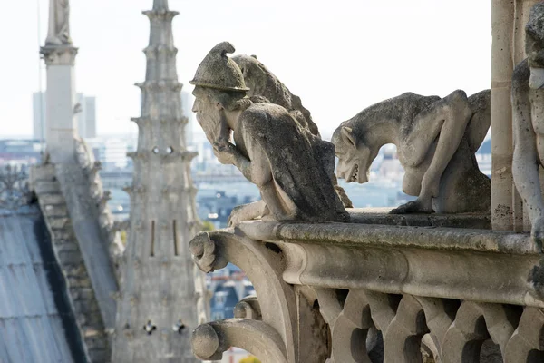 Notre Dame, Paris 'te taş şeytanları canavarı.